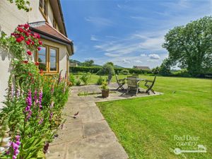 Patio- click for photo gallery